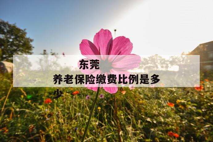 东莞养老保险缴费比例是多少
第1张
东莞养老保险缴费比例是多少
第1张