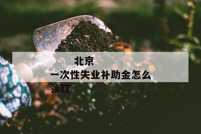 北京一次性失业补助金怎么领取
第1张
北京一次性失业补助金怎么领取
第1张