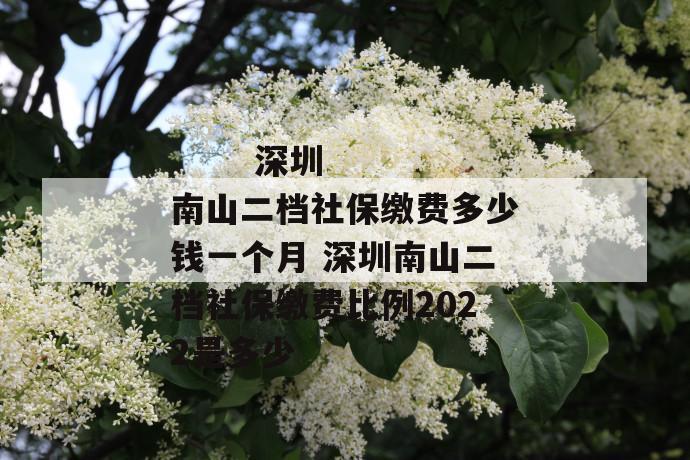 深圳南山二档社保缴费多少钱一个月 深圳南山二档社保缴费比例2022是多少
第1张
深圳南山二档社保缴费多少钱一个月 深圳南山二档社保缴费比例2022是多少
第1张