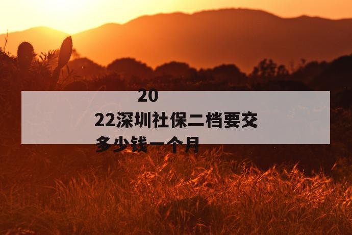 2022深圳社保二档要交多少钱一个月
第1张
2022深圳社保二档要交多少钱一个月
第1张
