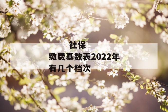 社保缴费基数表2022年有几个档次
第1张
社保缴费基数表2022年有几个档次
第1张