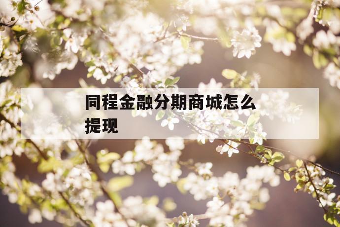 同程金融分期商城怎么提现 第1张 同程金融分期商城怎么提现 第1张