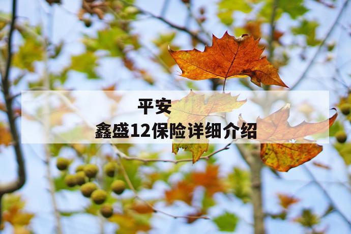 平安鑫盛12保险详细介绍
第1张
平安鑫盛12保险详细介绍
第1张