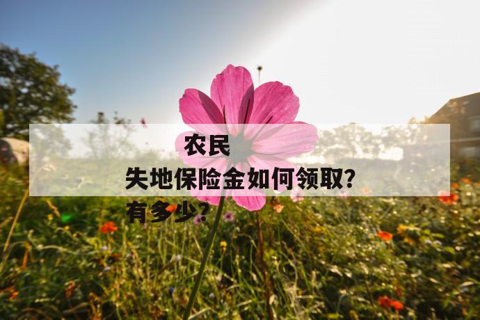 农民失地保险金如何领取?有多少?
第1张
农民失地保险金如何领取?有多少?
第1张