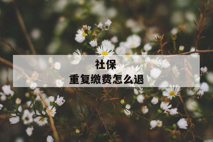 社保重复缴费怎么退
第1张
社保重复缴费怎么退
第1张
