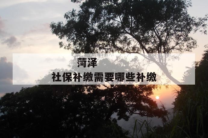 菏泽社保补缴需要哪些补缴材料
第1张
菏泽社保补缴需要哪些补缴材料
第1张