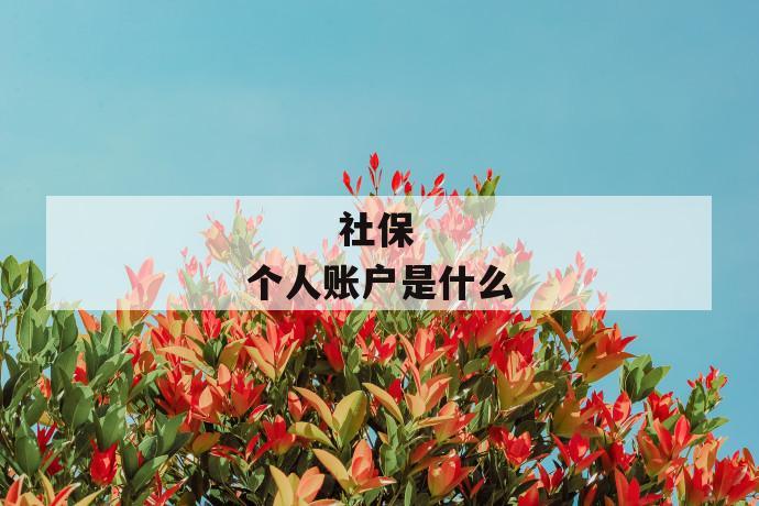 社保个人账户是什么
第1张
社保个人账户是什么
第1张