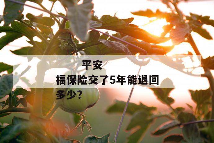 平安福保险交了5年能退回多少?
第1张
平安福保险交了5年能退回多少?
第1张