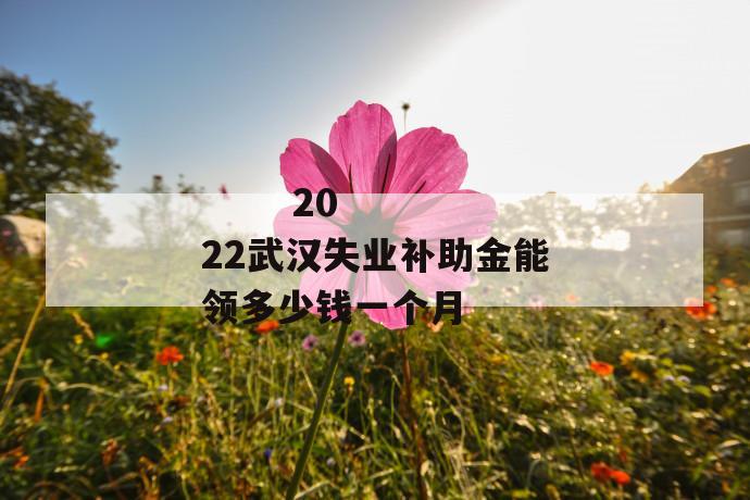 2022武汉失业补助金能领多少钱一个月
第1张
2022武汉失业补助金能领多少钱一个月
第1张