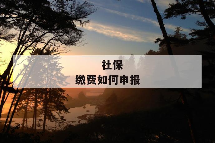 社保缴费如何申报
第1张
社保缴费如何申报
第1张