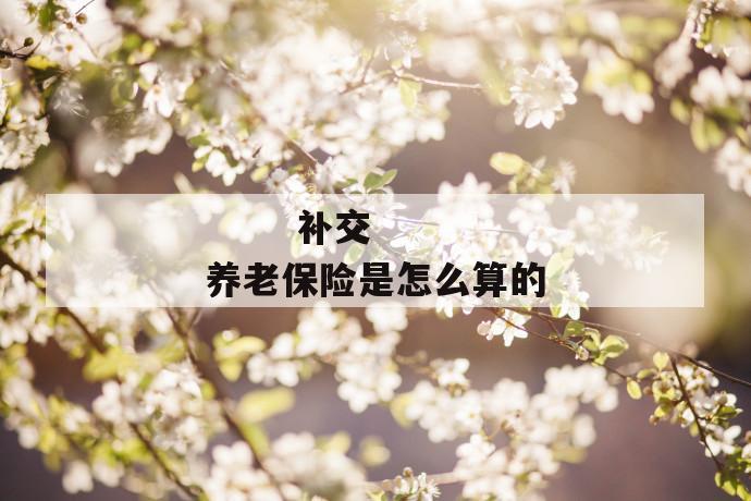 补交养老保险是怎么算的
第1张
补交养老保险是怎么算的
第1张