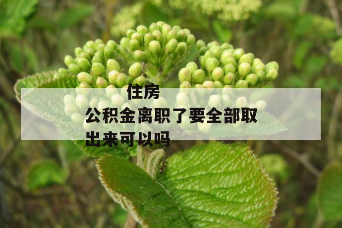 住房公积金离职了要全部取出来可以吗
第1张
住房公积金离职了要全部取出来可以吗
第1张