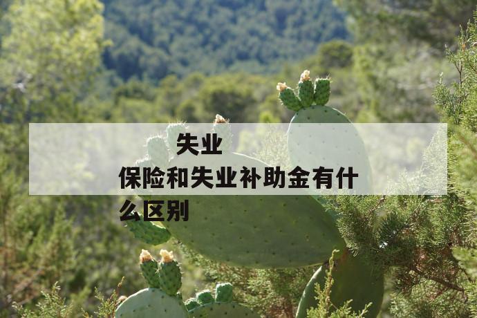 失业保险和失业补助金有什么区别
第1张
失业保险和失业补助金有什么区别
第1张
