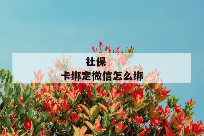 社保卡绑定微信怎么绑
第1张
社保卡绑定微信怎么绑
第1张
