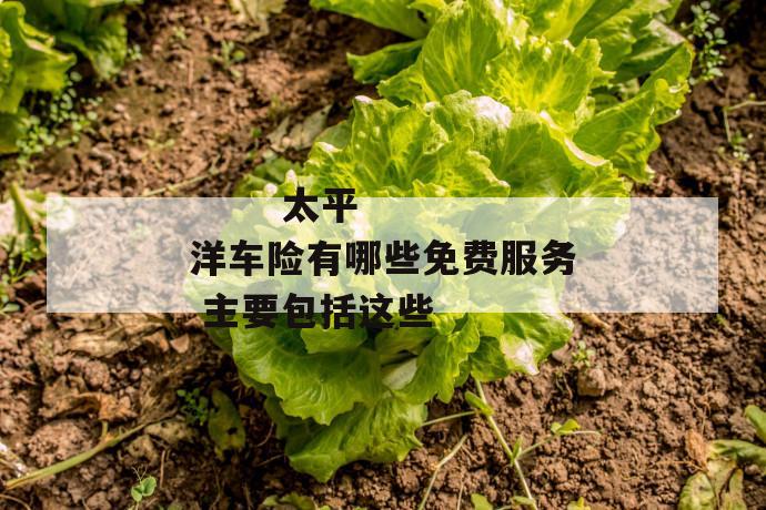太平洋车险有哪些免费服务 主要包括这些
第2张
太平洋车险有哪些免费服务 主要包括这些
第2张