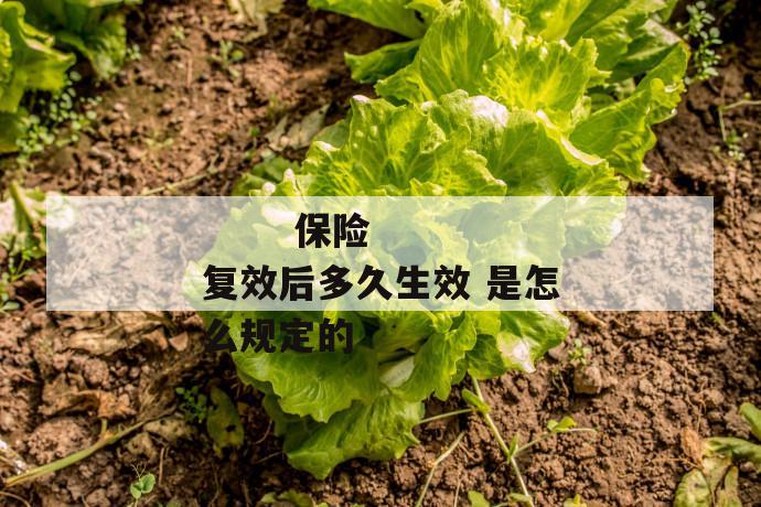 保险复效后多久生效 是怎么规定的
第1张
保险复效后多久生效 是怎么规定的
第1张