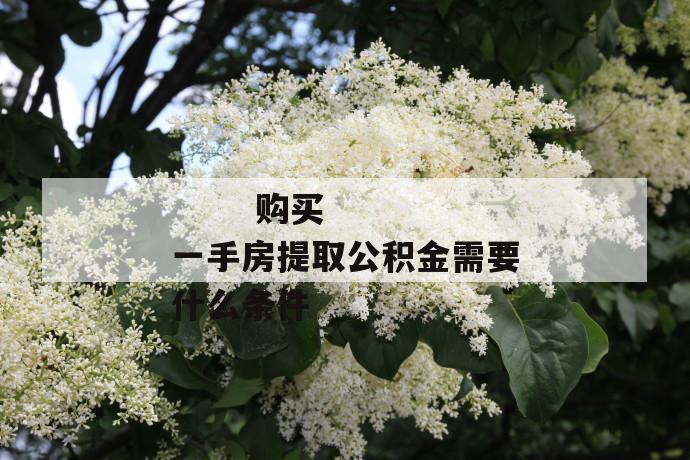 购买一手房提取公积金需要什么条件
第1张
购买一手房提取公积金需要什么条件
第1张