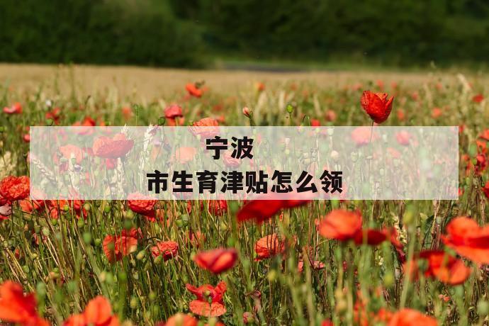 宁波市生育津贴怎么领
第1张
宁波市生育津贴怎么领
第1张