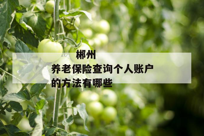 郴州养老保险查询个人账户的方法有哪些
第1张
郴州养老保险查询个人账户的方法有哪些
第1张