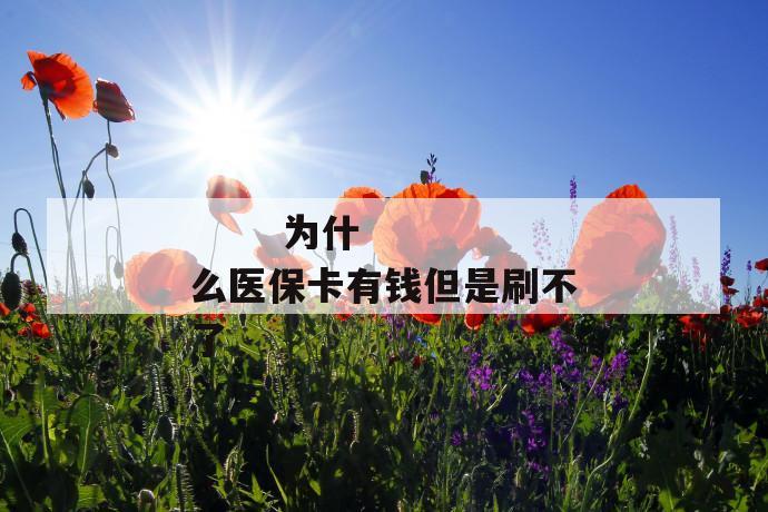 为什么医保卡有钱但是刷不了
第1张
为什么医保卡有钱但是刷不了
第1张