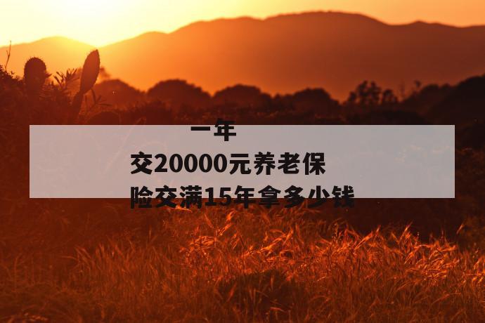 一年交20000元养老保险交满15年拿多少钱
第1张
一年交20000元养老保险交满15年拿多少钱
第1张