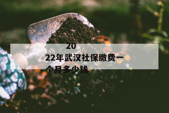 2022年武汉社保缴费一个月多少钱
第1张
2022年武汉社保缴费一个月多少钱
第1张