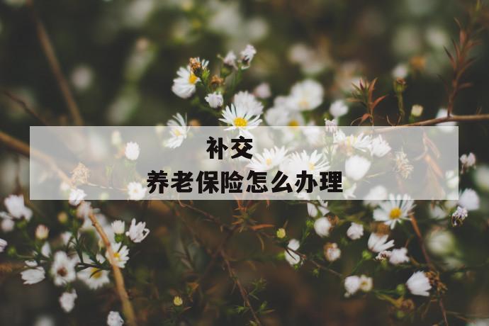 补交养老保险怎么办理
第1张
补交养老保险怎么办理
第1张