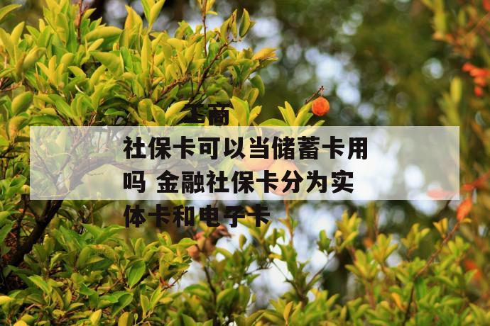 工商社保卡可以当储蓄卡用吗 金融社保卡分为实体卡和电子卡
第1张
工商社保卡可以当储蓄卡用吗 金融社保卡分为实体卡和电子卡
第1张