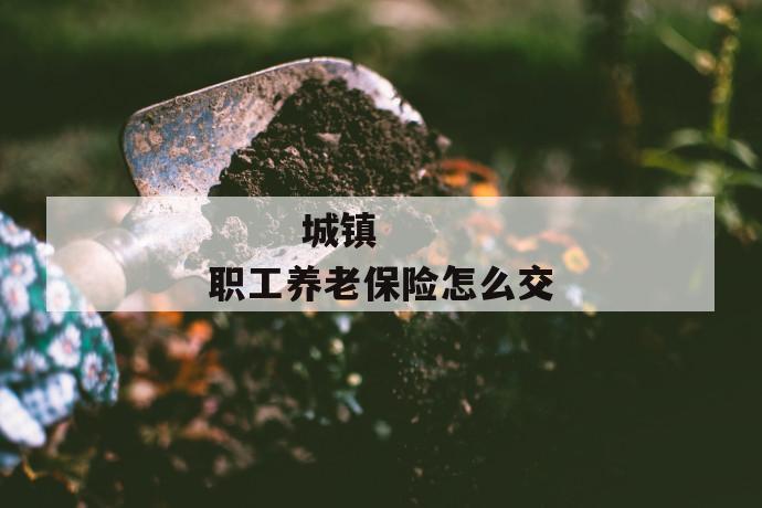 城镇职工养老保险怎么交
第1张
城镇职工养老保险怎么交
第1张