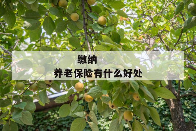 缴纳养老保险有什么好处
第1张
缴纳养老保险有什么好处
第1张