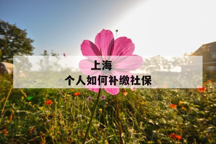 上海个人如何补缴社保
第1张
上海个人如何补缴社保
第1张