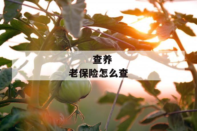 查养老保险怎么查
第1张
查养老保险怎么查
第1张