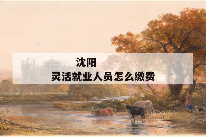 沈阳灵活就业人员怎么缴费
第1张
沈阳灵活就业人员怎么缴费
第1张