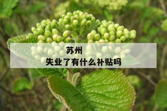 苏州失业了有什么补贴吗
第1张
苏州失业了有什么补贴吗
第1张