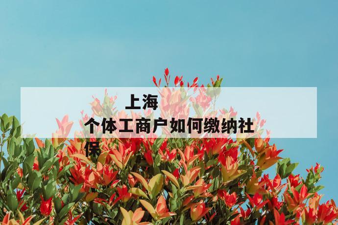 上海个体工商户如何缴纳社保
第1张
上海个体工商户如何缴纳社保
第1张