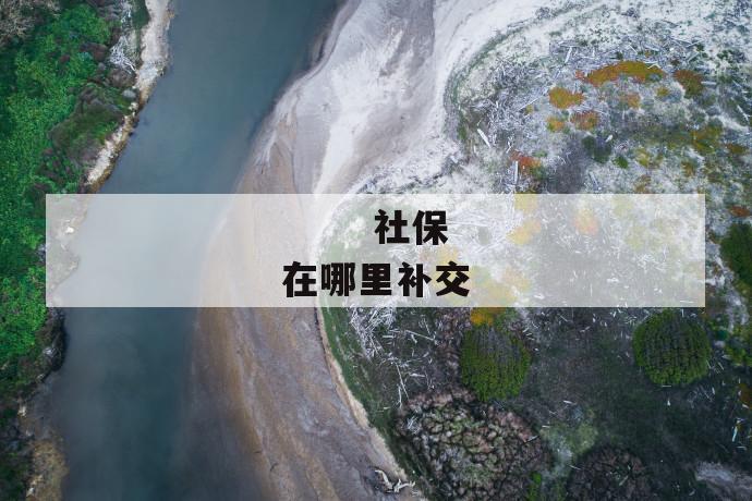 社保在哪里补交
第1张
社保在哪里补交
第1张