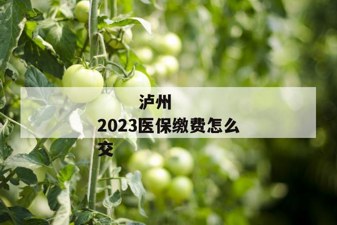 泸州2023医保缴费怎么交
第1张
泸州2023医保缴费怎么交
第1张
