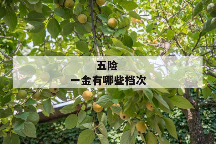 五险一金有哪些档次
第1张
五险一金有哪些档次
第1张