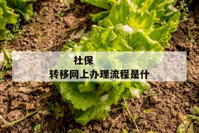 社保转移网上办理流程是什么
第1张
社保转移网上办理流程是什么
第1张