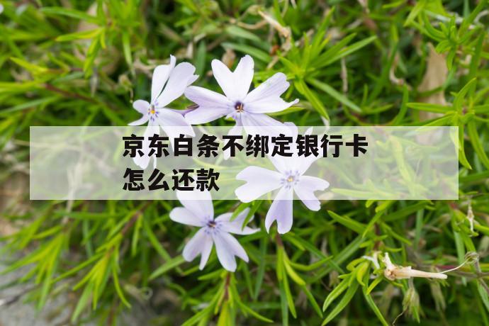 京东白条不绑定银行卡怎么还款 第1张 京东白条不绑定银行卡怎么还款 第1张