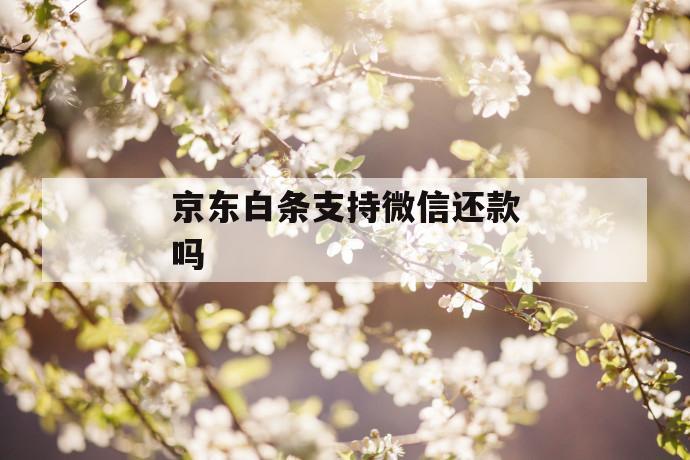 京东白条支持微信还款吗 第1张 京东白条支持微信还款吗 第1张