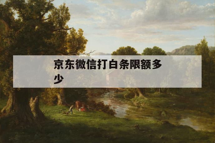 京东微信打白条限额多少 第1张 京东微信打白条限额多少 第1张