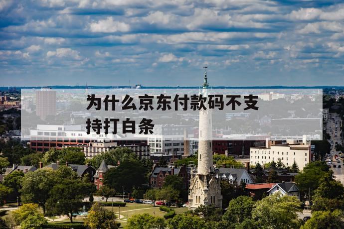为什么京东付款码不支持打白条 第1张 为什么京东付款码不支持打白条 第1张