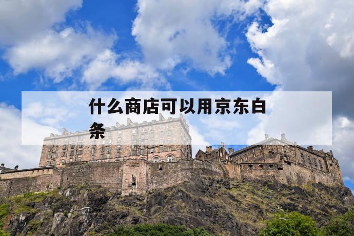 什么商店可以用京东白条 第1张 什么商店可以用京东白条 第1张