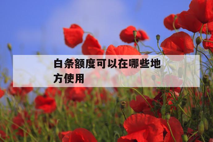 白条额度可以在哪些地方使用 第1张 白条额度可以在哪些地方使用 第1张