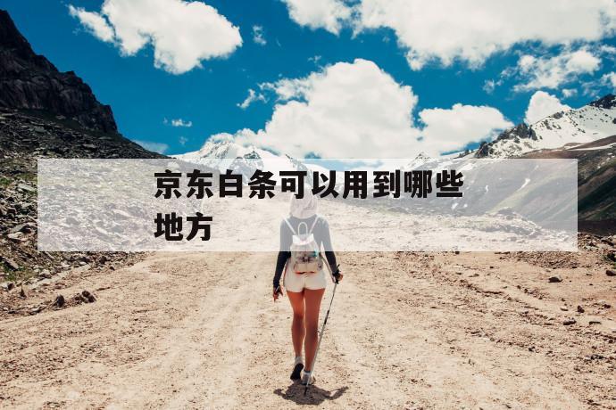 京东白条可以用到哪些地方 第1张 京东白条可以用到哪些地方 第1张