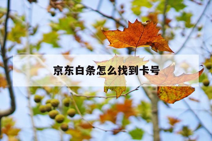 京东白条怎么找到卡号 第1张 京东白条怎么找到卡号 第1张