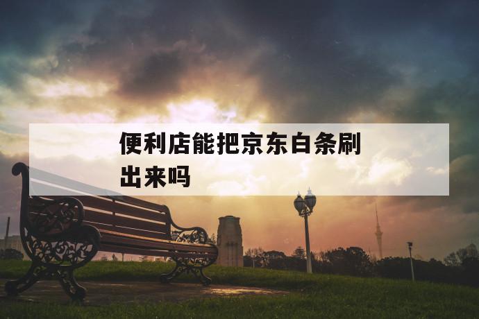 便利店能把京东白条刷出来吗 第1张 便利店能把京东白条刷出来吗 第1张