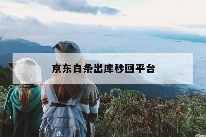 京东白条出库秒回平台 第1张 京东白条出库秒回平台 第1张