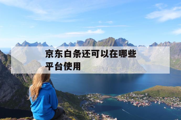 京东白条还可以在哪些平台使用 第1张 京东白条还可以在哪些平台使用 第1张